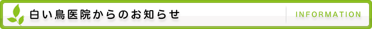白い鳥医院からのお知らせ
